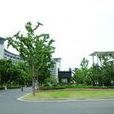 软装配饰培训学院 软装配饰培训学院