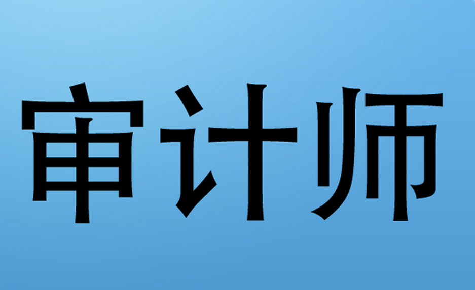 初级审计师 初级审计师