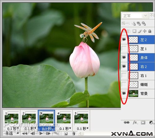 中文版flash cs3 中文版flash cs3