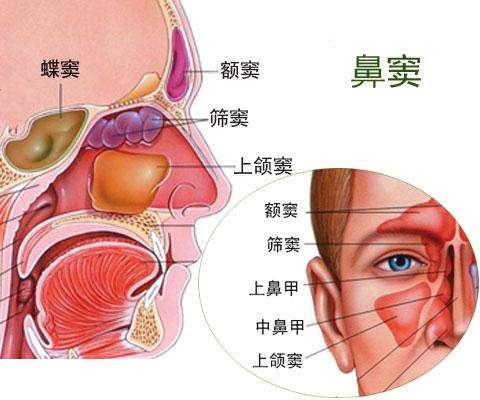 鼻腔鼻窦淋巴瘤 鼻腔鼻窦淋巴瘤
