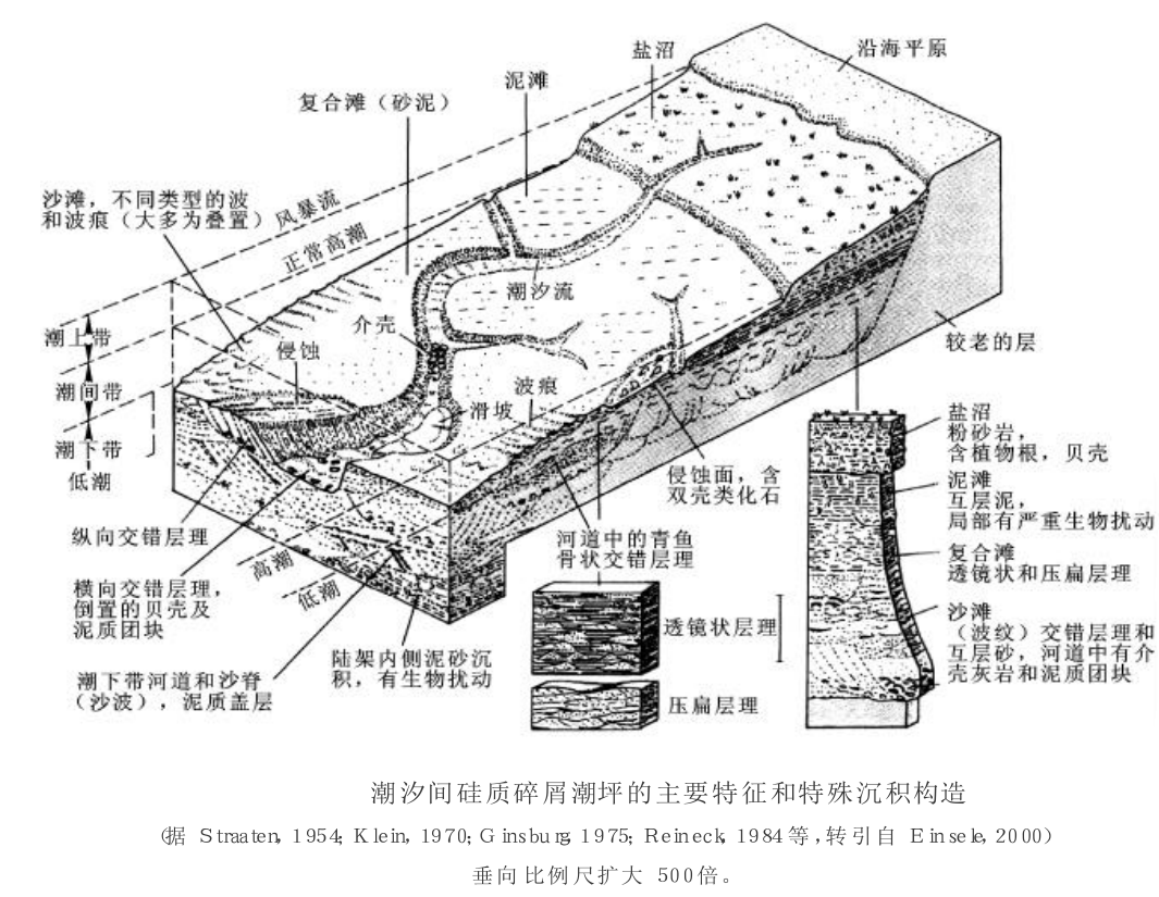 潮坪体系 潮坪体系