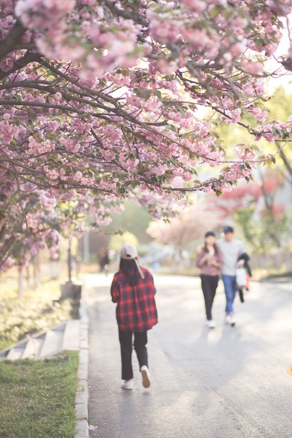 学院一角 学院一角