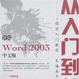 新编Word2003中文版从入门到精通 新编Word2003中文版从入门到精通