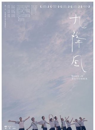 王柏杰(中国台湾影视男演员)