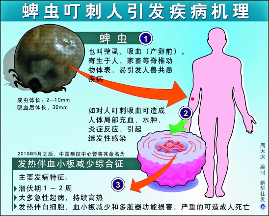 人粒细胞无形体病 人粒细胞无形体病