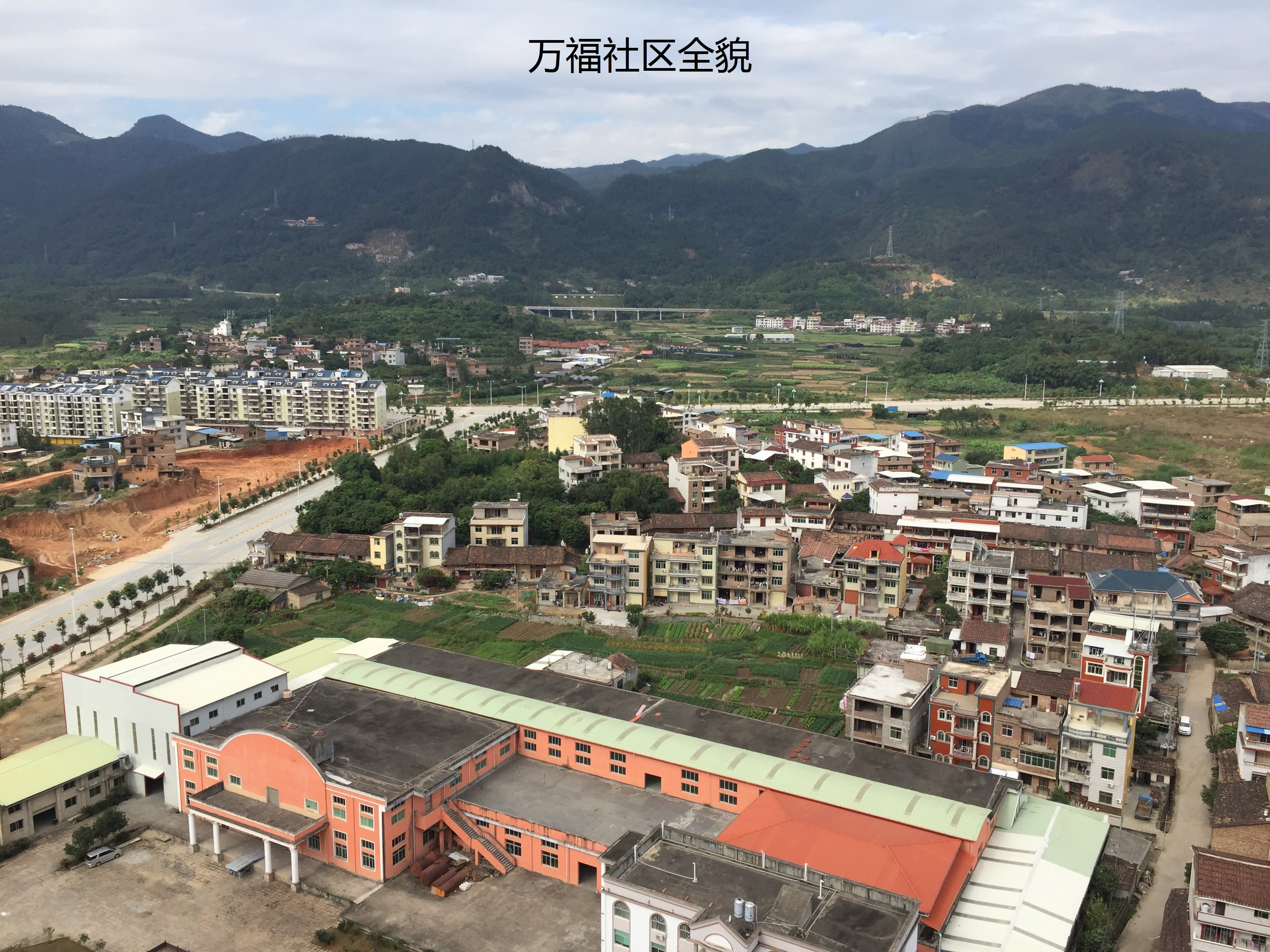 万福村(福建省莆田市仙游县鲤城镇下辖村) 万福村(福建省莆田市仙游县鲤城镇下辖村)