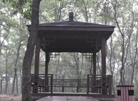 中山陵木栈 中山陵木栈