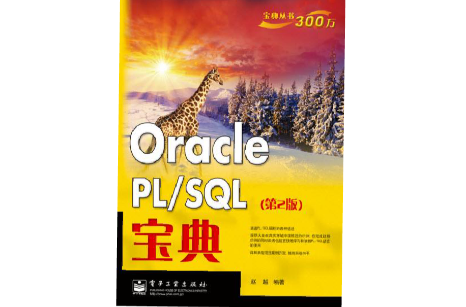 Oracle PL/SQL宝典(第2版) Oracle PL/SQL宝典(第2版)