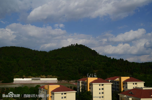 西南科技大学城市学院 西南科技大学城市学院