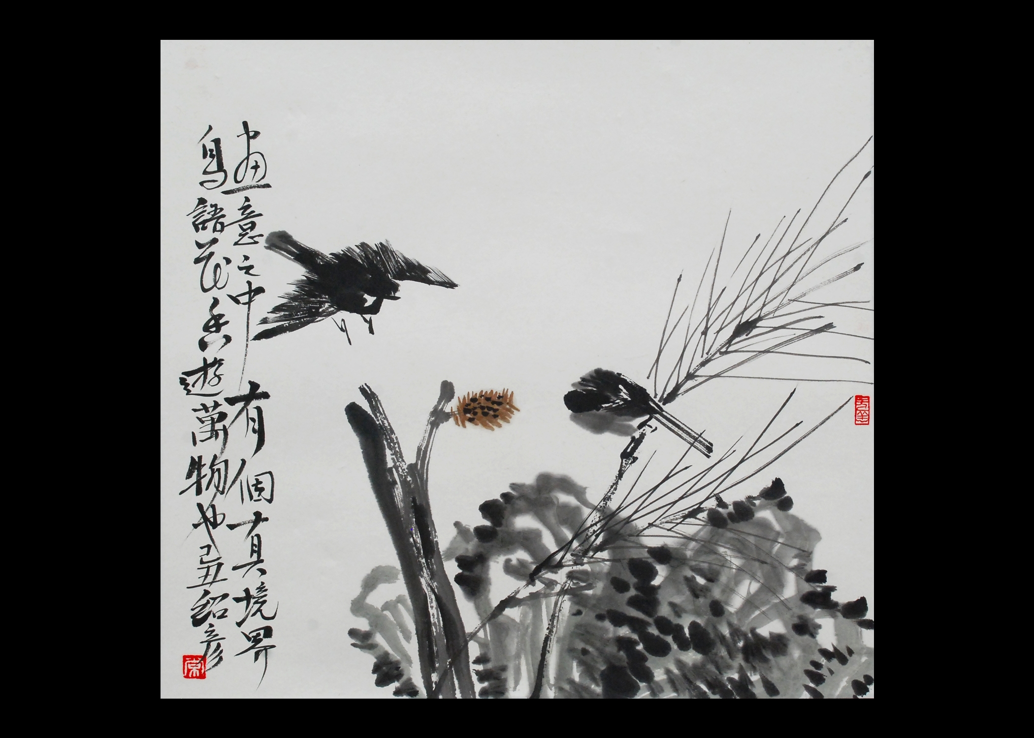 常绍彦 常绍彦
