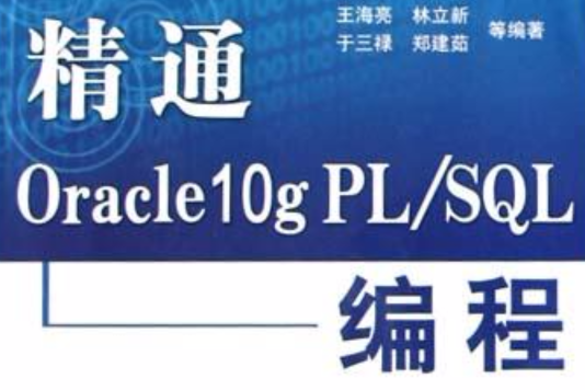 精通Oracle 10g PL/SQL编程 精通Oracle 10g PL/SQL编程