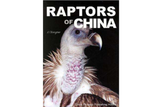 中国猛禽 中国猛禽
