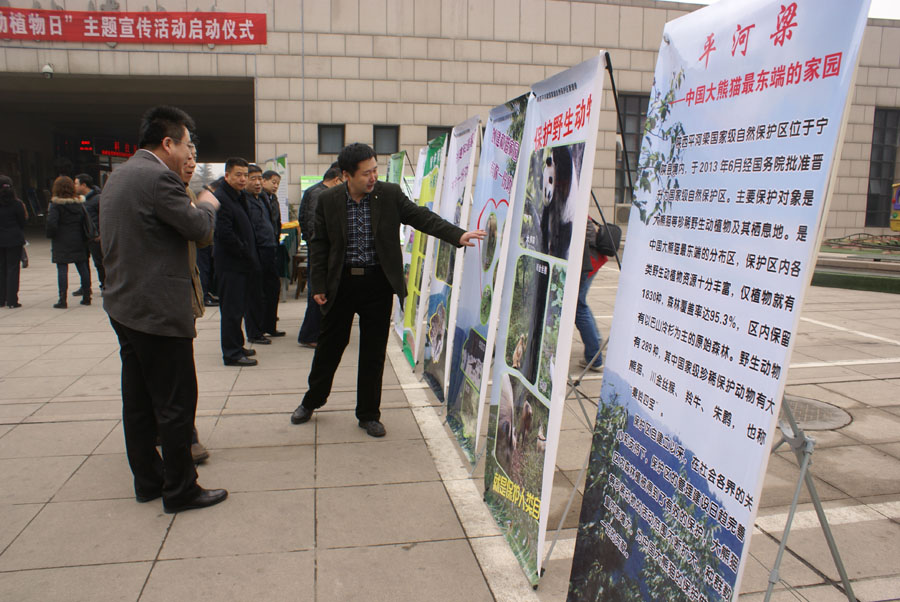 世界野生动植物日”公益宣传活动 世界野生动植物日”公益宣传活动
