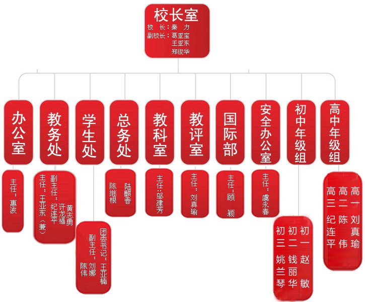 组织结构 组织结构