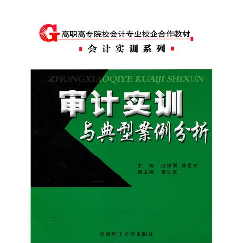 审计实训与典型案例分析 审计实训与典型案例分析