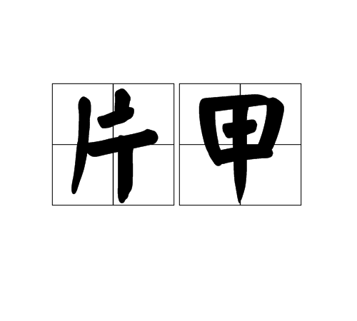片甲