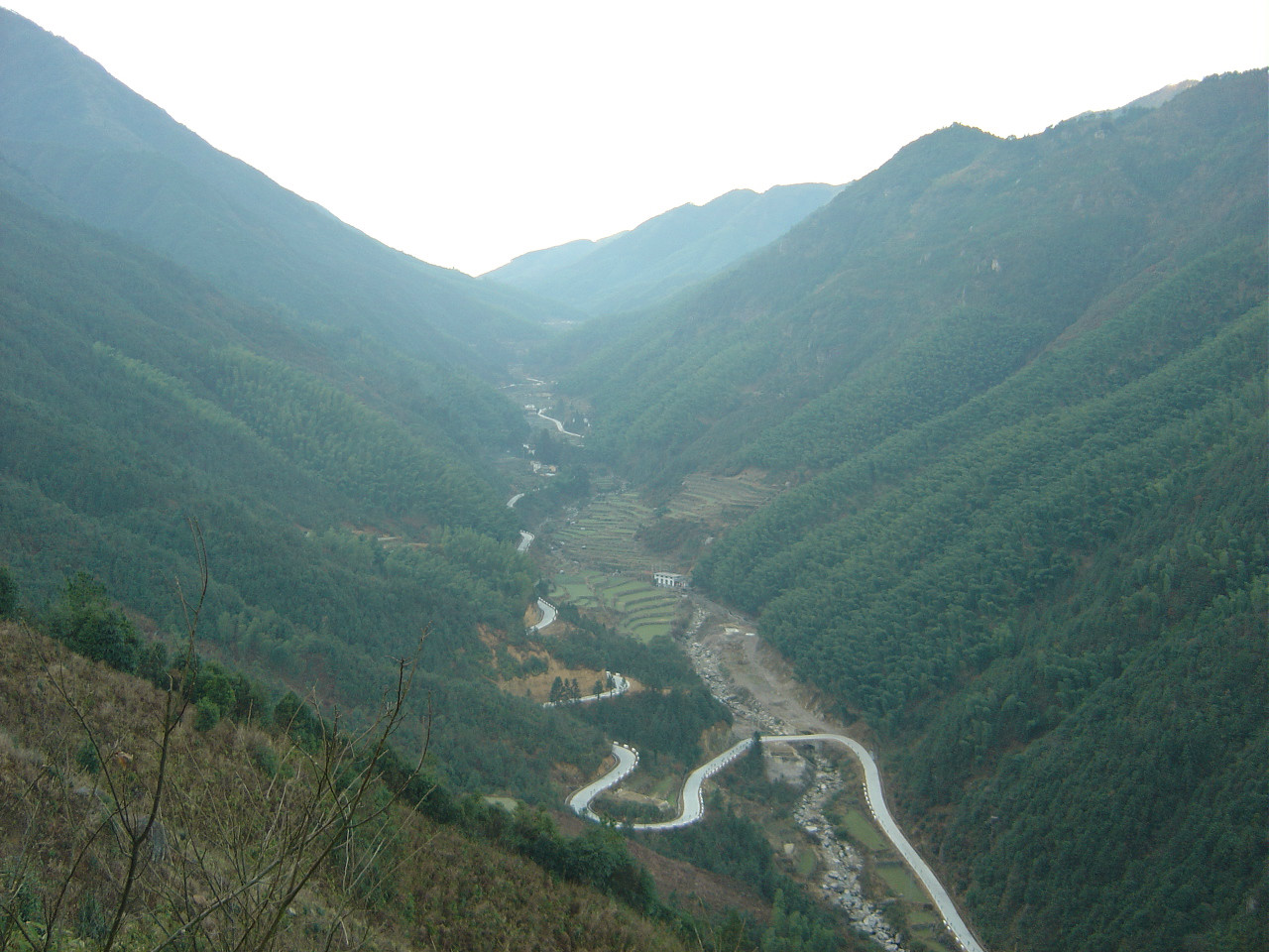 周村源 周村源