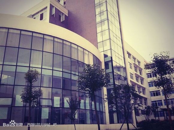 西南科技大学城市学院 西南科技大学城市学院
