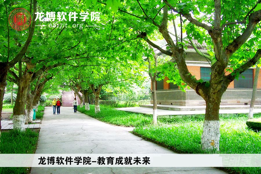 南充龙博软体学院 南充龙博软体学院