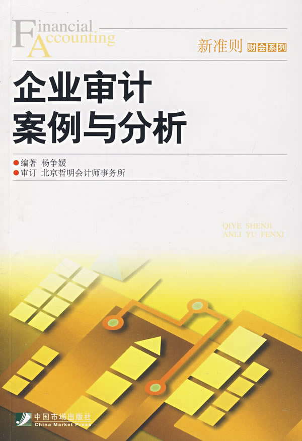 企业审计案例与分析 企业审计案例与分析