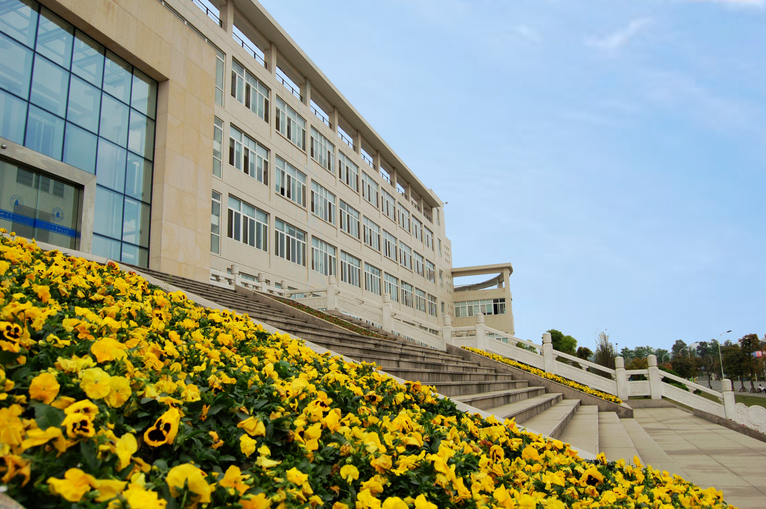 四川大学锦江学院 四川大学锦江学院