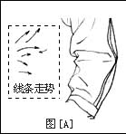 衣服褶皱画法 衣服褶皱画法