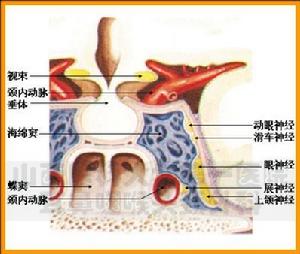 春季性结膜炎病因 春季性结膜炎病因