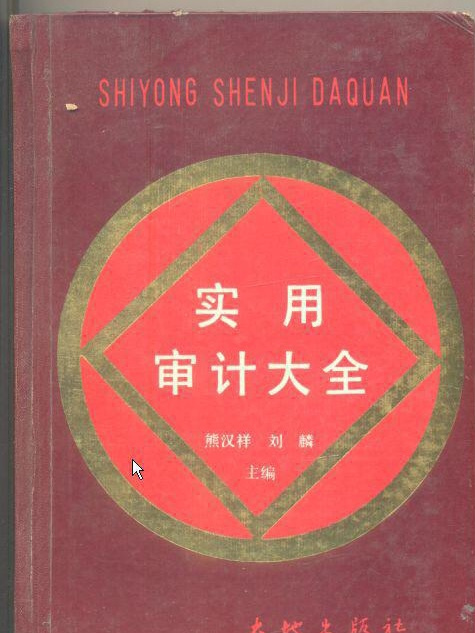 实用审计大全