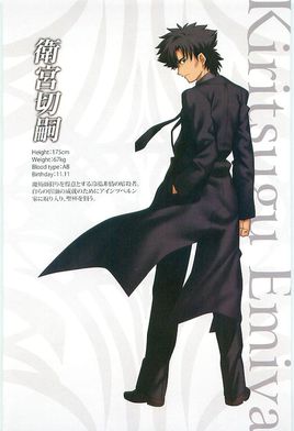 fate/stay night(命运长夜（TYPE-MOON发行文字冒险游戏）一般指本词条)