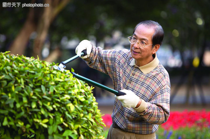 花灌木 修剪与整形 花灌木 修剪与整形
