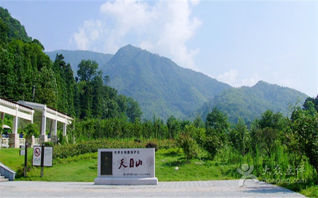 天目山风景区 天目山风景区