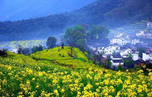 江岭梯田 江岭梯田