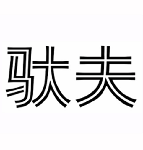 驮夫 驮夫