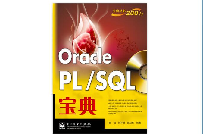Oracle PL/SQL宝典 Oracle PL/SQL宝典