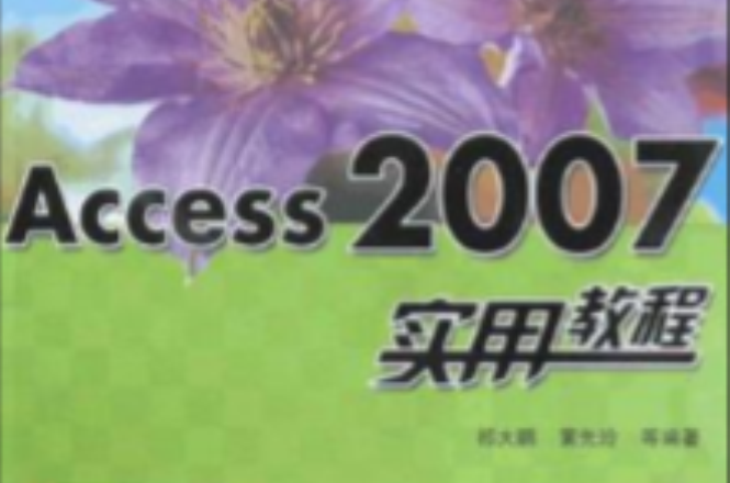 Access 2007实用教程 Access 2007实用教程