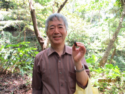 捕蝉的坂内英一 捕蝉的坂内英一