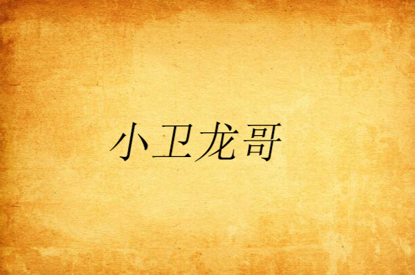 小卫龙哥 小卫龙哥