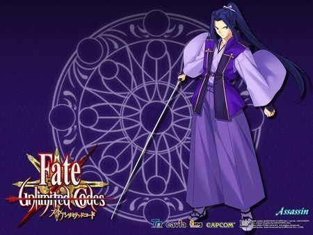 fate/stay night(Heavens Feel)