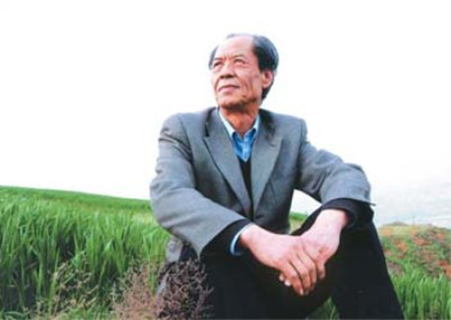 乡村 乡村