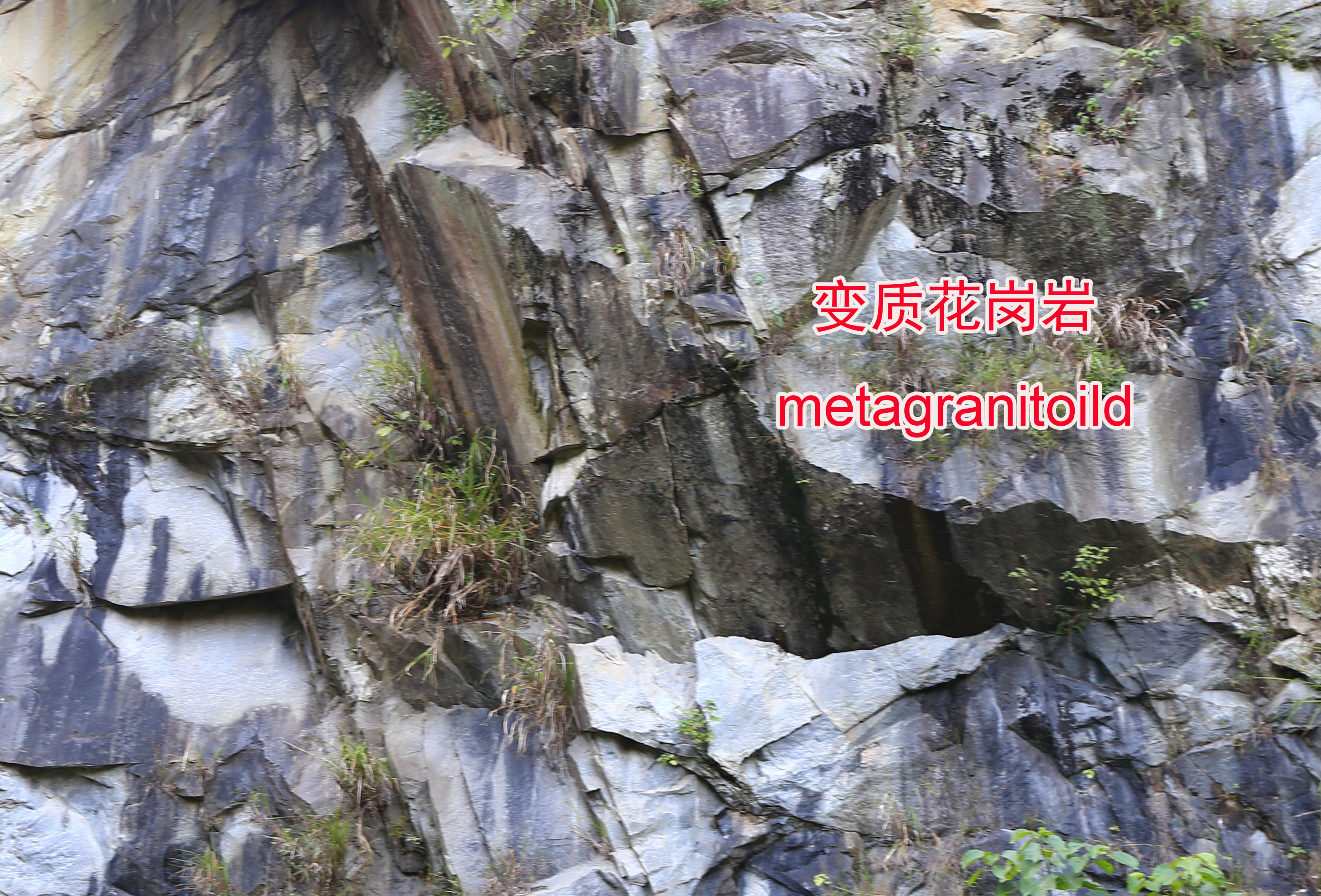 变质花岗岩 变质花岗岩