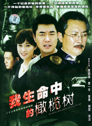 贾一平(演员、导演)