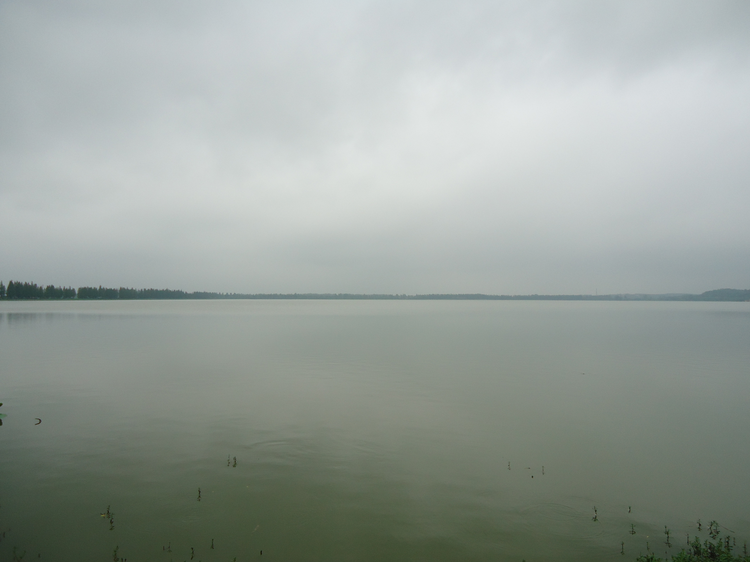 莫愁湖 莫愁湖