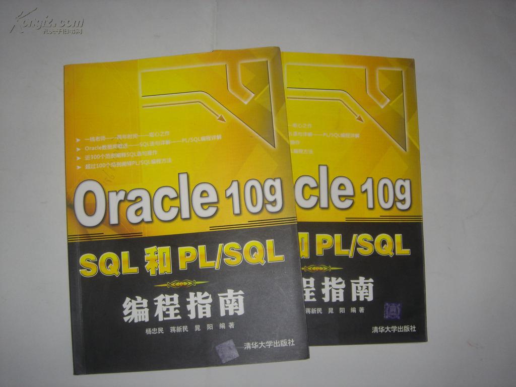Oracle10gSQL和PL/SQL编程指南 Oracle10gSQL和PL/SQL编程指南
