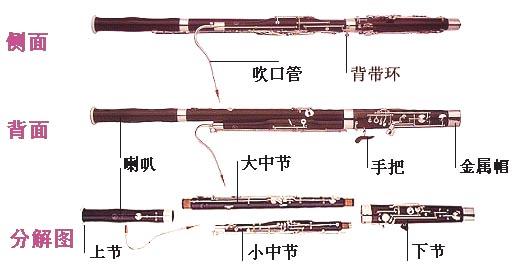 巴松 巴松