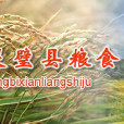 灵璧县粮食局 灵璧县粮食局