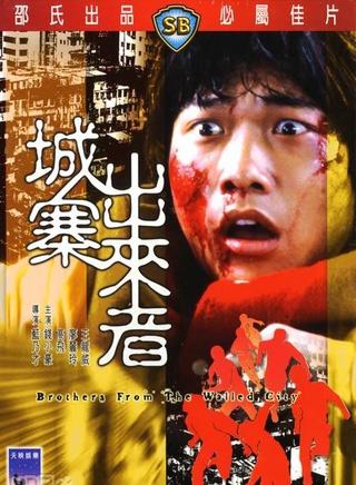 关海山(中国香港男演员)