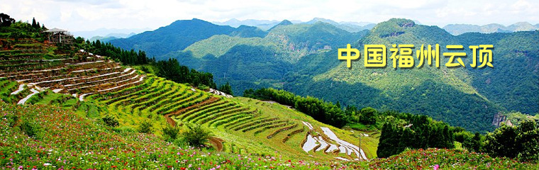 中国云顶 中国云顶