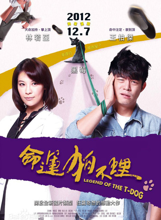 王柏杰(中国台湾影视男演员)