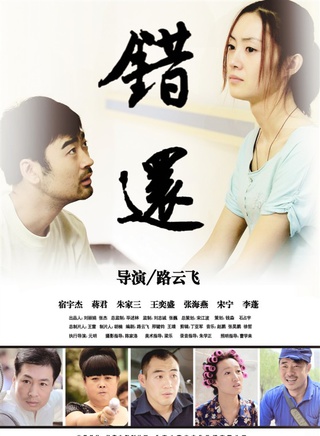 张海燕(中国大陆女演员)