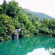 西天目山 西天目山